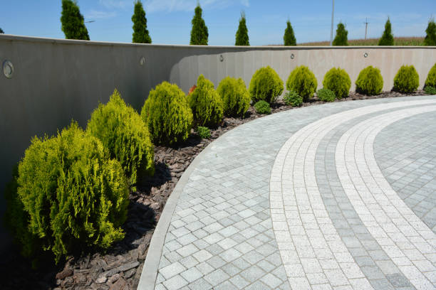 Best Decorative Driveway Pavers  in Boling, TX
